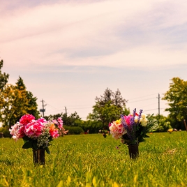 Choosing your cemetery: A practical guide